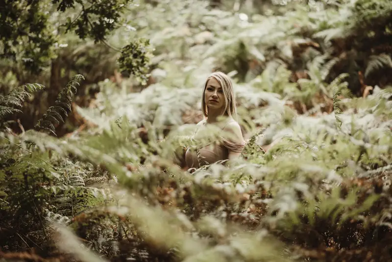 The Fern Sanctuary fine art photograph #3